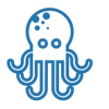 Octopus IT
